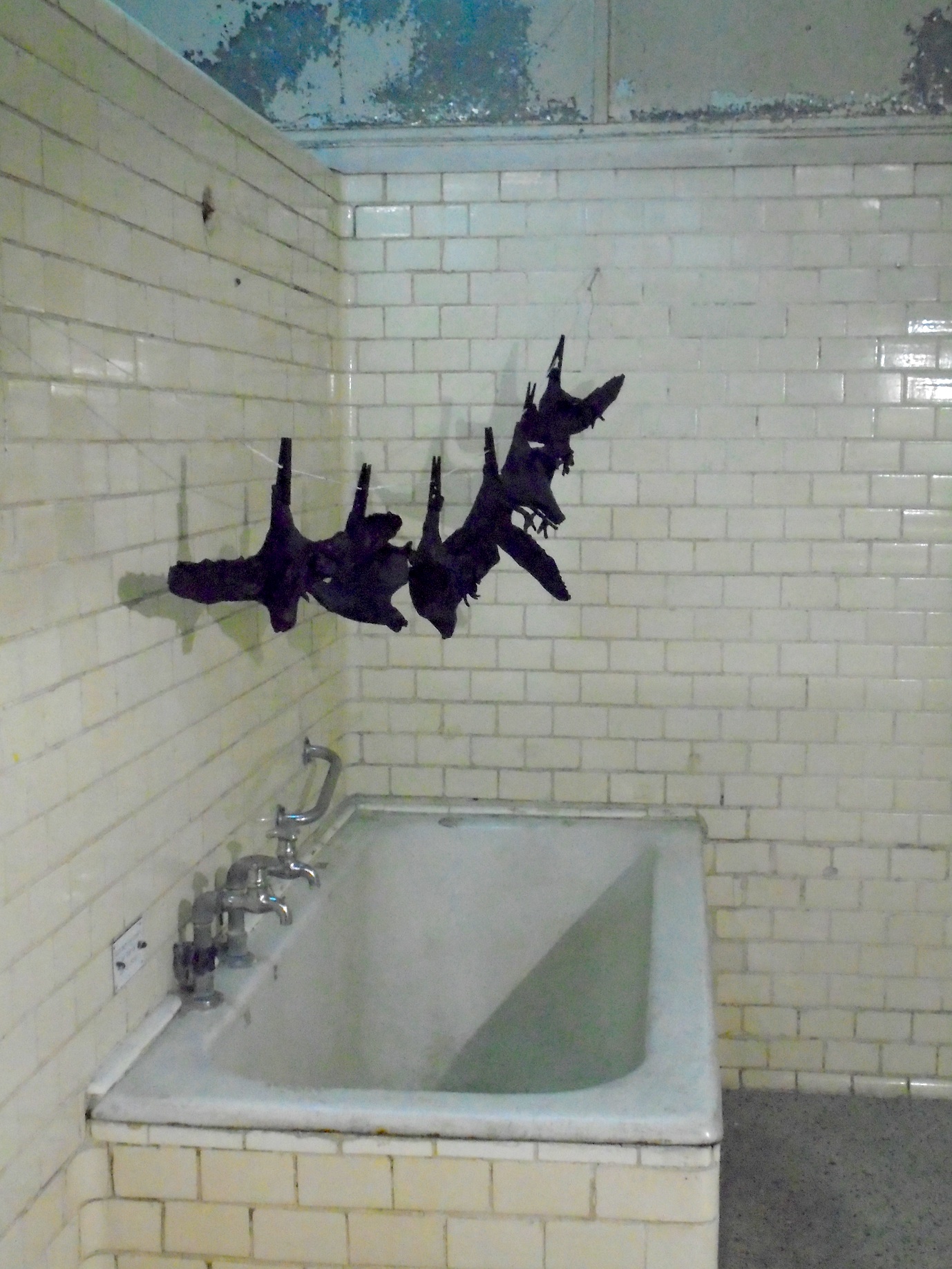 Vogel Mannheim kl